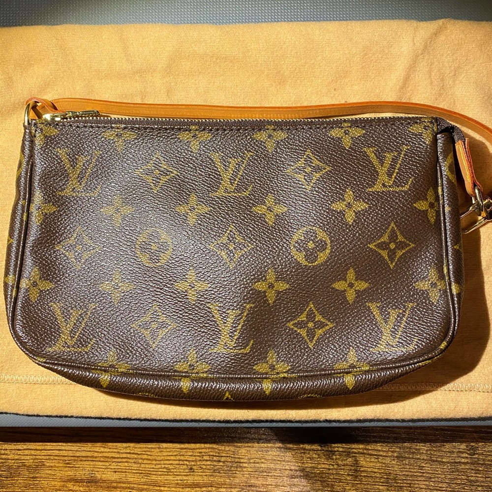 Louis Vuitton Hand Bag